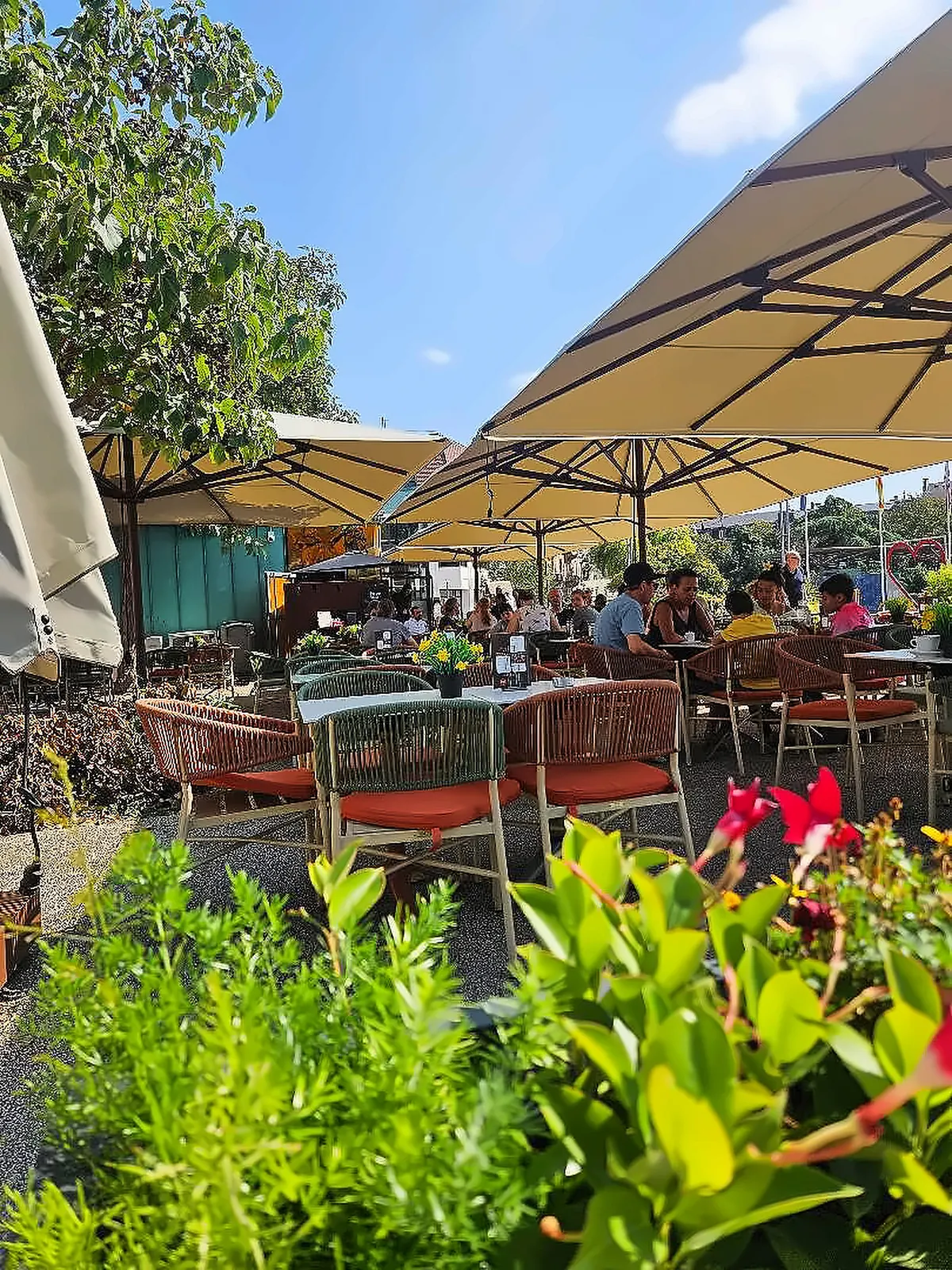 La terrasse fleurie du Café Rapp sous les parasols, face au parc